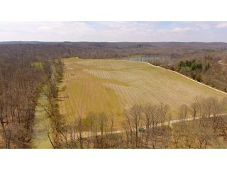 Property photo 24 - REAL ESTATE AUCTION - 1,013 ACRES IN 21 TRACTS IN MARTIN COUNTY, INDIANA